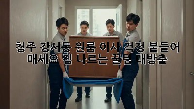 청주 강서동 원룸 이사? 걱정 붙들어 매세요! 짐 나르는 꿀팁 대방출!