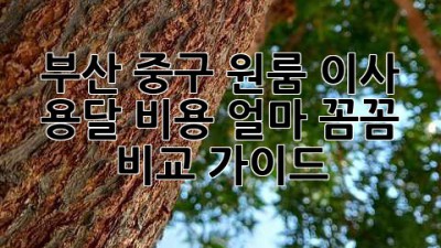 부산 중구 원룸 이사, 용달 비용 얼마? 꼼꼼 비교 가이드!
